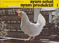 Ayam Sehat Ayam Produktif 1