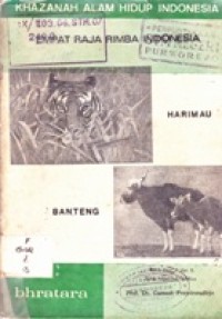 Empat Raja Rimba Indonesia