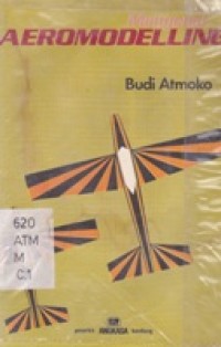 Mengenal Aeromodelling