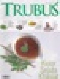 TRUBUS 501 / 2011
